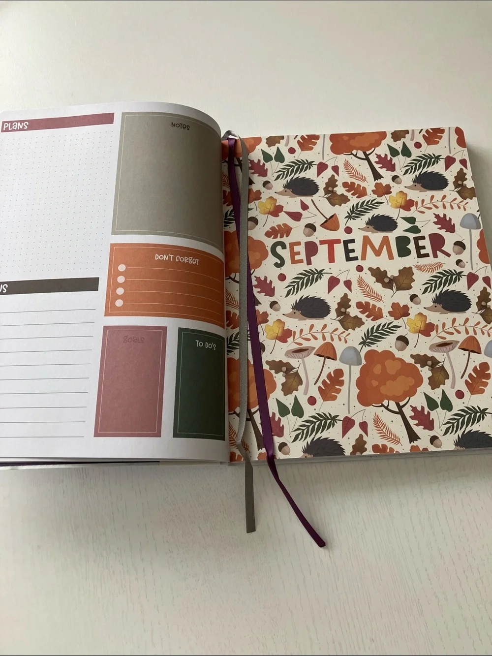 The Creative Expert 17 Month Planner -  (August 2026-December 2027) NWT